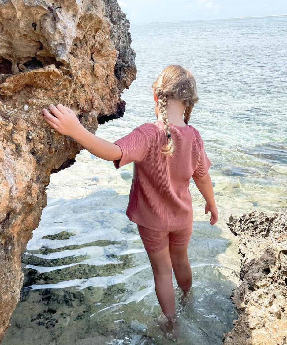 Stevie Set Wild and Wolf 